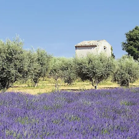 Studio Prive - Maison De Village Valensole Exterior photo